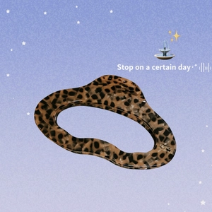Handmade leopard print acetate hair claw clip with star background and gold logo