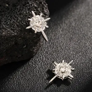 Boucles d'oreilles magnétiques en étoile d'argent à huit branches avec zircon sur roche