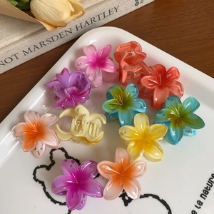 Nahaufnahme von bunten Frangipani-Haarklammern auf einem eleganten Keramiktablett