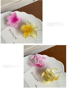 Nahaufnahme kleiner Frangipani-Haarklammern aus Harz mit rosa und gelbem Farbverlauf