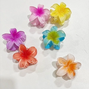 Mini Plumeria Haarklammern Süße Durchscheinende Blumen Haarschmuck Für Damen Strand Urlaub Stil Kleine Haarnadeln