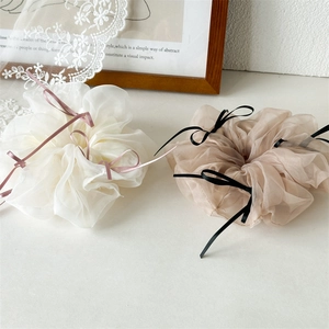 Chouchous élégants en organza avec rubans de satin blanc et champagne style ballet