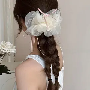 Vue détaillée d'un chouchou en tulle crème avec rubans roses sur cheveux tressés