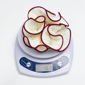 Weight display of ruffled scrunchie showing 16.9g on scale with red trim detail