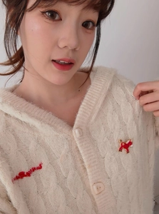 Detail showing a red horse brooch pinned on a beige knit cardigan with vintage buttons