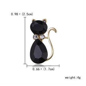 Detailweergave van zwarte kristallen kattenbroche met gouden metalen staart en maten