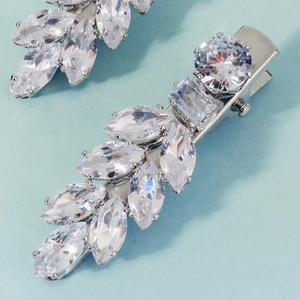 Vue détaillée de l'ensemble de pinces à cheveux argentées avec zircons et cristaux
