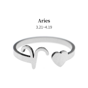Macro detail of Aries zodiac sign and heart on an adjustable silver stainless steel ring