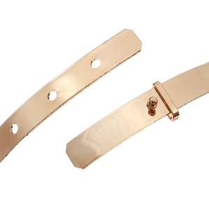 Close-up of golden crown buckle with high-gloss mirror finish and adjustable holes
