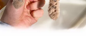 Detail view of large brown plush hair claw clip with faux fur texture and sturdy teeth