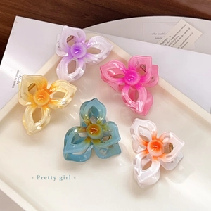 Lot de cinq pinces à cheveux fleurs de frangipanier en résine aux couleurs pastel