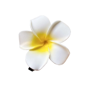 Realistic white and yellow gradient plumeria flower hair claw clip on white background