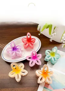 Détails de pinces à cheveux florales dégradées sur une assiette blanche avec accessoires