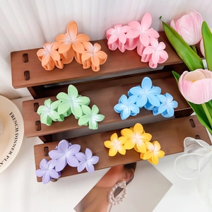 Lot de pinces à cheveux fleurs mates en six couleurs acidulées sur un support en bois