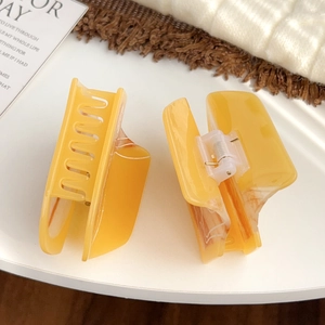 Chic amber resin hair claw clips for women set of two in elegant lifestyle setting