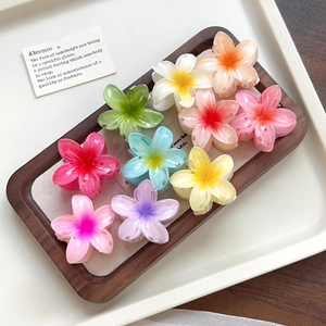 Ensemble élégant de pinces à cheveux fleur de frangipanier aux couleurs dégradées