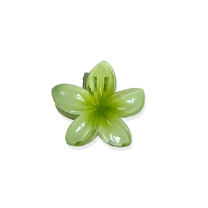 Pince à cheveux élégante en résine avec fleur de frangipanier dégradé vert et blanc