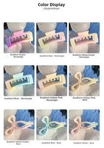 Détails des coloris pour pinces à cheveux carrées et nœuds avec un dégradé de couleurs