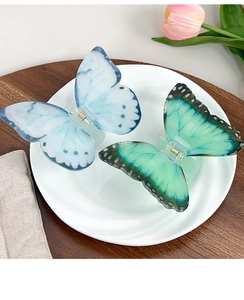Détail de pinces à cheveux papillon bleu et vert sur une assiette en céramique avec lumière