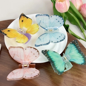 Pinces à cheveux papillon élégantes en couleurs pastel avec des accents floraux chic