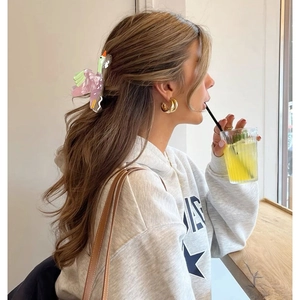 Pince à cheveux en acétate en forme de cygne et créoles dorées dans un cadre de café
