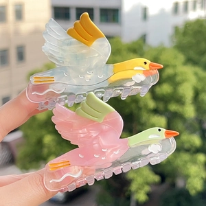 Pinces à cheveux transparentes en forme d'oiseau avec des ailes colorées en extérieur
