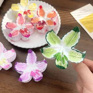 Pinces à cheveux fleurs de frangipanier colorées pour femmes en résine vibrante