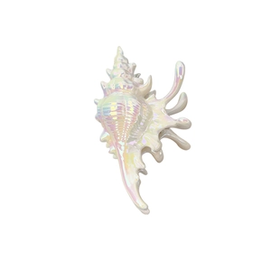 Pince à cheveux en forme de coquillage iridescent avec finition nacrée pour l'été