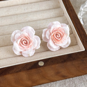 Détail macro de boucles d'oreilles roses avec dégradé dans un coffret à bijoux haut de gamme