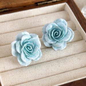 Détail macro d'élégantes boucles d'oreilles roses bleu clair aux pétales dégradés