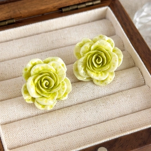 Gros plan de boucles d'oreilles roses vertes avec texture détaillée dans un coffret bois
