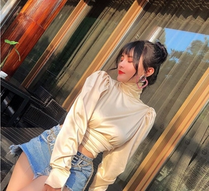 Detail of elegant champagne satin long sleeve top with puff sleeves and vintage style