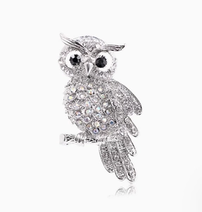 Detail of owl brooch with white crystals and black gem eyes on silver metal base