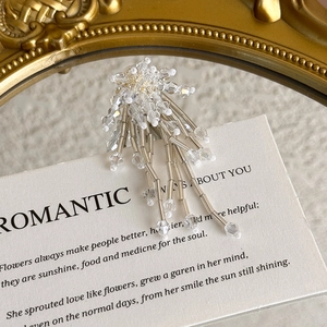 Detail of elegant crystal tassel shoe charms with silver beads on decorative art card
