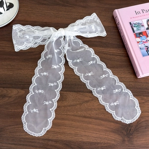 Close-up of elegant white lace ribbon with embroidered patterns and wavy edges