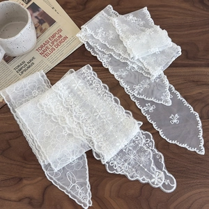 Ruban en dentelle de maille blanche style pastoral avec broderie florale pour cheveux