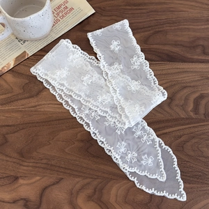 Gros plan du ruban en dentelle blanche avec broderie papillon et bordure festonnée