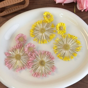 Exaggerated colorful daisy flower earrings for beach vacations and spring travel