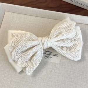 Détail de la barrette à cheveux en satin beige avec broderie de dentelle florale