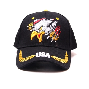 Detail of black baseball cap with embroidered eagle motif and USA text on the brim