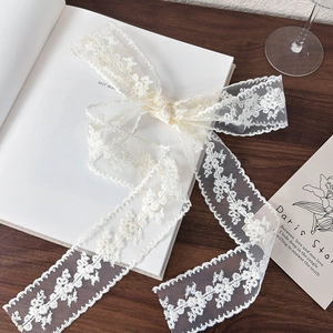 Detailed macro view of cream lace ribbon featuring delicate floral embroidery and scalloped edges