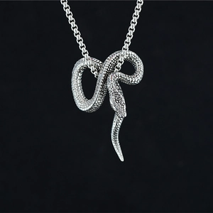 Collier Pendentif Serpent en Acier Titane Vintage pour Hommes Femmes Gothique Punk Hip Hop Bijoux en Acier Inoxydable Cadeau