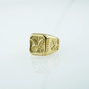 Bague Chevalier Homme Vintage Aigle Acier Titane Plaqué Or Motif Oiseau Gaufré Bijoux Style Hip Hop Punk