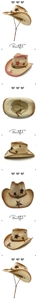 Detailed views of woven straw cowboy hat featuring star patterns and leather decorative bands