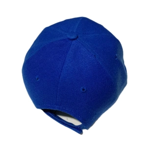 Royal blue baseball cap with eagle embroidery and adjustable strap in a six-panel style