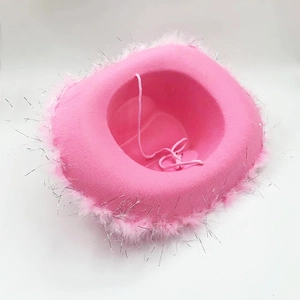 Chapeau de cowboy rose avec motif couronne et bordure en plumes avec fils argentés