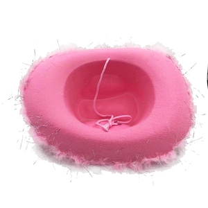 Chapeau de cow-boy rose avec bordure en plumes et fils scintillants pour déguisements