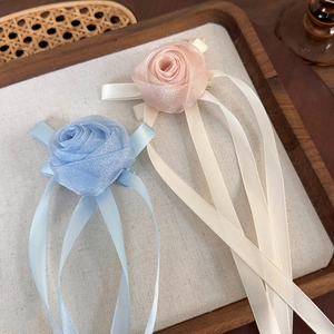 Détail des pinces à cheveux roses en résille avec rubans fluides en rose et bleu