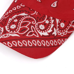 Vista dettagliata del motivo paisley rosso e delle cuciture su un cappello da baseball