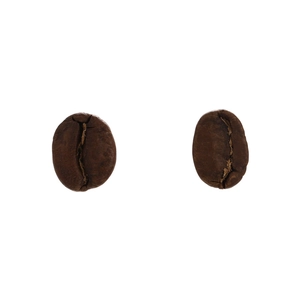 Artistic coffee bean stud earrings with natural dark roasted texture for women